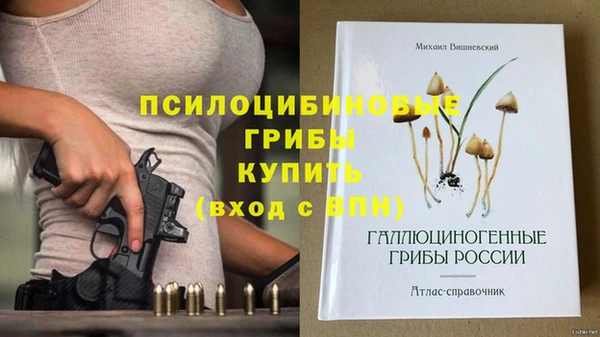 амф Баксан